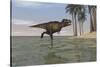 Tyrannosaurus Rex Hunting in Shallow Water-null-Stretched Canvas