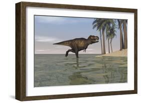 Tyrannosaurus Rex Hunting in Shallow Water-null-Framed Art Print