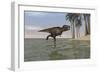 Tyrannosaurus Rex Hunting in Shallow Water-null-Framed Art Print