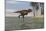 Tyrannosaurus Rex Hunting in Shallow Water-null-Mounted Art Print