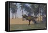 Tyrannosaurus Rex Hunting in Shallow Water-null-Framed Stretched Canvas