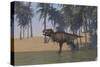 Tyrannosaurus Rex Hunting in Shallow Water-null-Stretched Canvas