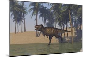 Tyrannosaurus Rex Hunting in Shallow Water-null-Mounted Art Print