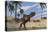 Tyrannosaurus Rex Hunting in Shallow Water-null-Stretched Canvas