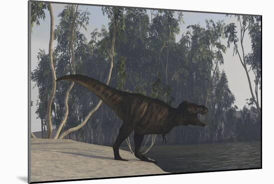 Tyrannosaurus Rex Hunting on the Edge of Shoreline-null-Mounted Art Print