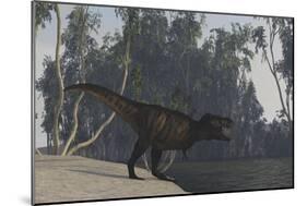 Tyrannosaurus Rex Hunting on the Edge of Shoreline-null-Mounted Art Print