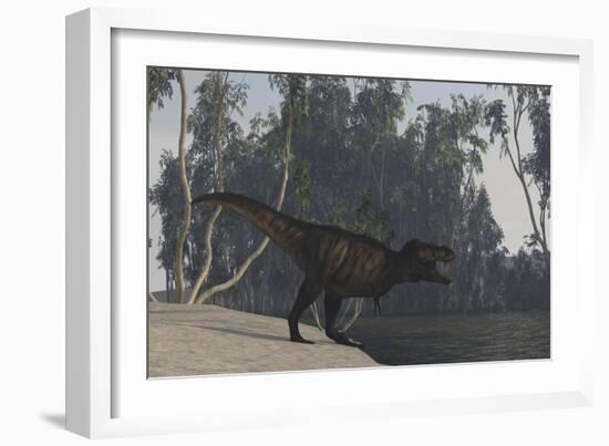Tyrannosaurus Rex Hunting on the Edge of Shoreline-null-Framed Premium Giclee Print