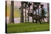 Tyrannosaurus Rex in a Grassy Field-null-Stretched Canvas