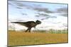 Tyrannosaurus Rex in a Grassy Field-null-Mounted Art Print