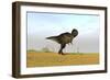 Tyrannosaurus Rex in a Grassy Field-null-Framed Art Print