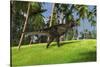 Tyrannosaurus Rex in a Grassy Field-null-Stretched Canvas