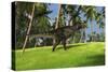 Tyrannosaurus Rex in a Grassy Field-null-Stretched Canvas