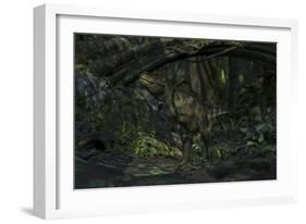 Tyrannosaurus Rex in a Prehistoric Forest-null-Framed Art Print