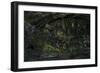 Tyrannosaurus Rex in a Prehistoric Forest-null-Framed Premium Giclee Print