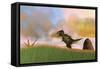 Tyrannosaurus Rex in Prehistoric Grasslands-null-Framed Stretched Canvas