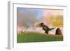 Tyrannosaurus Rex in Prehistoric Grasslands-null-Framed Art Print