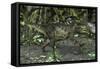 Tyrannosaurus Rex in Prehistoric Woodlands-null-Framed Stretched Canvas