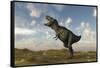 Tyrannosaurus Rex on Desert Terrain-null-Framed Stretched Canvas