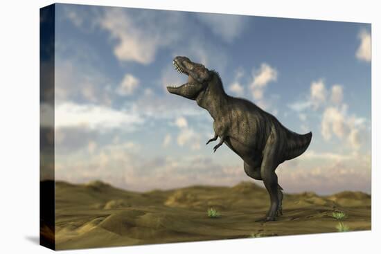 Tyrannosaurus Rex on Desert Terrain-null-Stretched Canvas