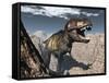 Tyrannosaurus Rex Roaring in a Canyon-Stocktrek Images-Framed Stretched Canvas