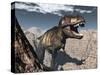 Tyrannosaurus Rex Roaring in a Canyon-Stocktrek Images-Stretched Canvas