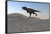 Tyrannosaurus Rex Running across a Desert Landscape-null-Framed Stretched Canvas