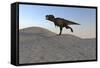 Tyrannosaurus Rex Running across a Desert Landscape-null-Framed Stretched Canvas