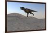 Tyrannosaurus Rex Running across a Desert Landscape-null-Framed Art Print