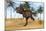 Tyrannosaurus Rex Running in a Prehistoric Environment-null-Mounted Art Print