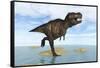 Tyrannosaurus Rex Running Through Shallow Water-null-Framed Stretched Canvas