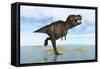 Tyrannosaurus Rex Running Through Shallow Water-null-Framed Stretched Canvas