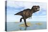 Tyrannosaurus Rex Running Through Shallow Water-null-Stretched Canvas