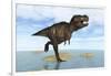 Tyrannosaurus Rex Running Through Shallow Water-null-Framed Art Print