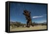 Tyrannosaurus Rex Sculpture Against a Backdrop of Star Trails, California-null-Framed Stretched Canvas