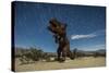 Tyrannosaurus Rex Sculpture Against a Backdrop of Star Trails, California-null-Stretched Canvas