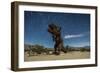 Tyrannosaurus Rex Sculpture Against a Backdrop of Star Trails, California-null-Framed Photographic Print