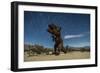 Tyrannosaurus Rex Sculpture Against a Backdrop of Star Trails, California-null-Framed Photographic Print