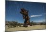 Tyrannosaurus Rex Sculpture Against a Backdrop of Star Trails, California-null-Mounted Photographic Print