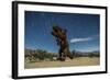 Tyrannosaurus Rex Sculpture Against a Backdrop of Star Trails, California-null-Framed Photographic Print