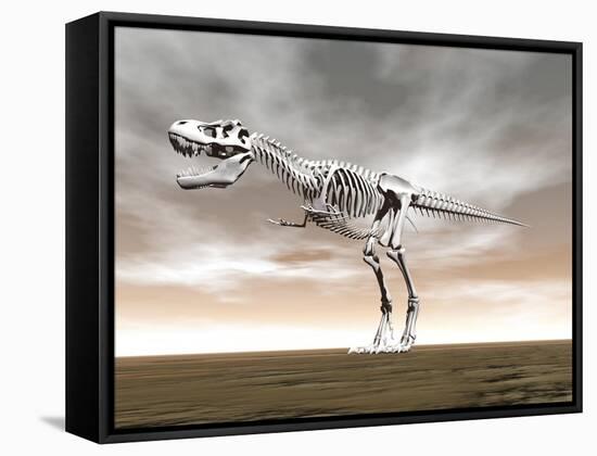 Tyrannosaurus Rex Skeleton-null-Framed Stretched Canvas