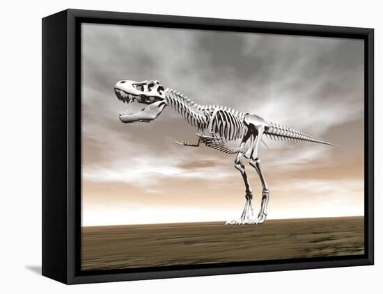 Tyrannosaurus Rex Skeleton-null-Framed Stretched Canvas