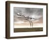 Tyrannosaurus Rex Skeleton-null-Framed Art Print