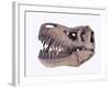 Tyrannosaurus rex skull-Walter Geiersperger-Framed Photographic Print