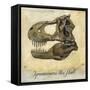 Tyrannosaurus Rex Skull-Daniel Patrick Kessler-Framed Stretched Canvas