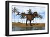 Tyrannosaurus Rex Standing on the Shoreline-null-Framed Premium Giclee Print