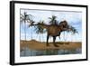 Tyrannosaurus Rex Standing on the Shoreline-null-Framed Art Print