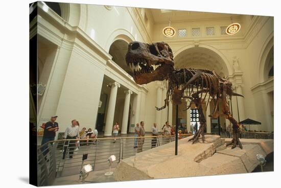 Tyrannosaurus Rex (Sue), Field Museum in Chicago, Illinois, USA-null-Stretched Canvas