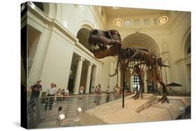 Tyrannosaurus Rex (Sue), Field Museum in Chicago, Illinois, USA-null-Stretched Canvas