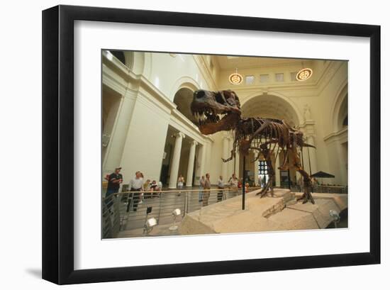 Tyrannosaurus Rex (Sue), Field Museum in Chicago, Illinois, USA-null-Framed Art Print