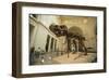 Tyrannosaurus Rex (Sue), Field Museum in Chicago, Illinois, USA-null-Framed Art Print